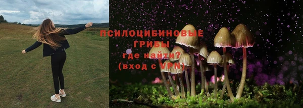 ECSTASY Волоколамск
