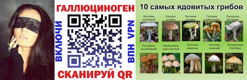 где продают наркотики  Александровское  Галлюциногенные грибы прущие грибы 